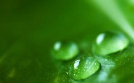 Фильтры для воды, водоподготовка, средства обеззараживания и дезинфекции
