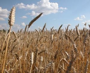 Завершен проект по установке системы обратного осмоса для ФХ