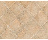 Линолеум Таркет EVOLUTION CHAMPAGNE 1