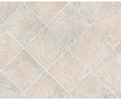 Линолеум Таркет EVOLUTION CHAMPAGNE 3.