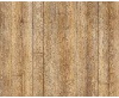 Линолеум Таркет EVOLUTION REGAN 1.