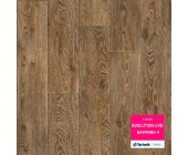 Линолеум Tarkett Evolution Raymond-4 бытовой (м2)