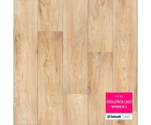 Линолеум Tarkett Evolution Wagner-1 бытовой (м2)