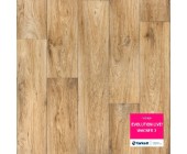 Линолеум Tarkett Evolution Wagner-2 бытовой (м2)