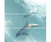 Искья панно дельфины