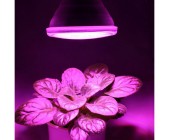 LED лампа для подсветки растений Bioledex PAR38