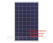 Солнечная батарея 260Вт поликристаллическая Risen 