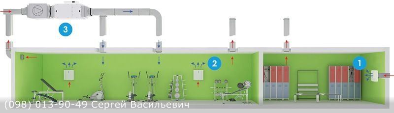 вентиляция в спортзале